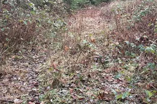 32950 NE 70th St, Carnation, WA 98014 - Photo 5