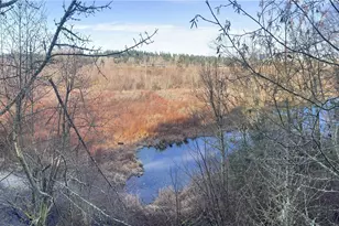 1628 118th Ave SE, Bellevue, WA 98005 - Photo 19