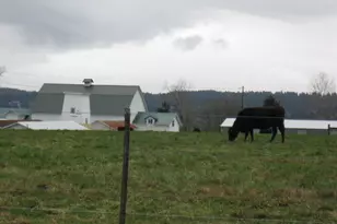 8428 NE 178th St, Bothell, WA 98011 - Photo 25