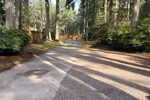 828 Island Blvd, Fox Island, WA 98333 - Photo 17