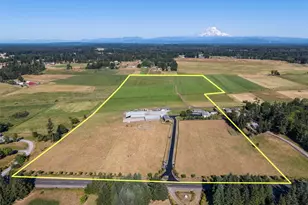 30721 40th Ave S, Roy, WA 98580 - Photo 37