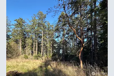 0 Island Drive, Friday Harbor, WA 98250 - Photo 5