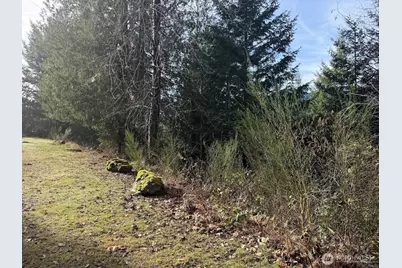 115 Ridge Lane, Packwood, WA 98361 - Photo 17