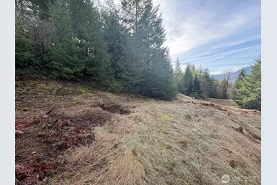 115 Ridge Lane, Packwood, WA 98361 - Photo 1