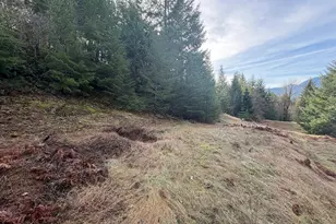 115 Ridge Ln, Packwood, WA 98361 - Photo 1