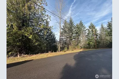 115 Ridge Lane, Packwood, WA 98361 - Photo 25
