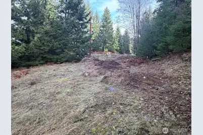 115 Ridge Lane, Packwood, WA 98361 - Photo 13