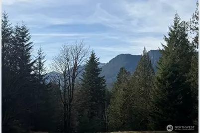 115 Ridge Lane, Packwood, WA 98361 - Photo 15