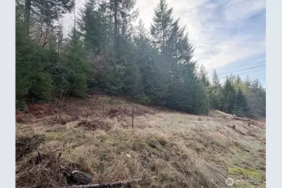 115 Ridge Lane, Packwood, WA 98361 - Photo 7