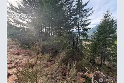 115 Ridge Lane, Packwood, WA 98361 - Photo 23