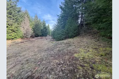 115 Ridge Lane, Packwood, WA 98361 - Photo 11