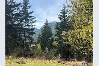 115 Ridge Lane, Packwood, WA 98361 - Photo 3