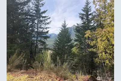 115 Ridge Lane, Packwood, WA 98361 - Photo 21