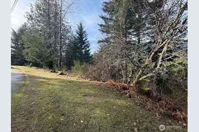 115 Ridge Lane, Packwood, WA 98361 - Photo 19