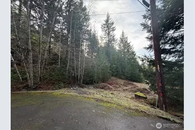 115 Ridge Lane, Packwood, WA 98361 - Photo 5