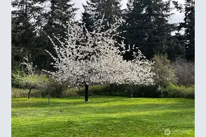 63 Avellana Road, Sequim, WA 98382 - Photo 17