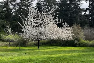 63 Avellana Rd, Sequim, WA 98382 - Photo 17