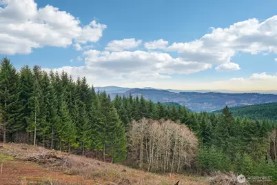 235 High Bank Lane, Woodland, WA 98674 - Photo 31