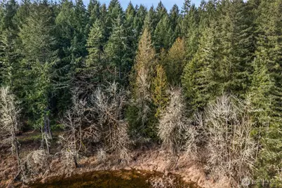 17820 Pondside Court, Yelm, WA 98597 - Photo 11