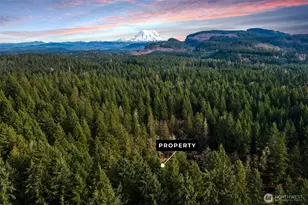 17820 Pondside Ct, Yelm, WA 98597 - Photo 1