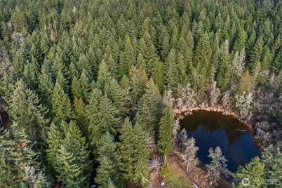 17820 Pondside Court, Yelm, WA 98597 - Photo 13