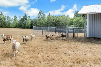 119 Sommerville Road, Chehalis, WA 98532 - Photo 37