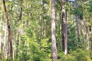 11107 122nd Ave Ct, Anderson Island, WA 98303 - Photo 1