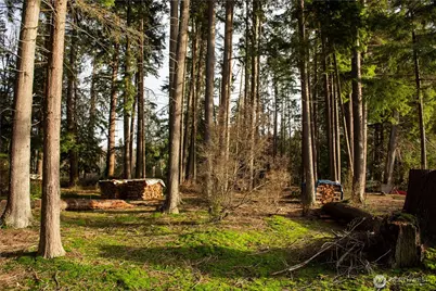 11022 Uct Loop Road, Lake Stevens, WA 98258 - Photo 35