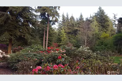 2970 Smugglers Cove Road, Greenbank, WA 98253 - Photo 35