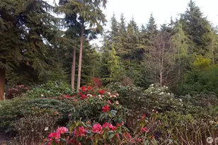 2970 Smugglers Cove Rd, Greenbank, WA 98253 - Photo 35