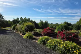 222 Volcano Ln, Chehalis, WA 98532 - Photo 7