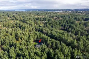 6935 Steamboat Island Road Northwest, Olympia, WA 98502 - Photo 39