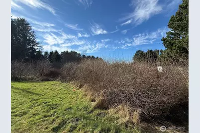 139 Xx Pacific Way, Long Beach, WA 98631 - Photo 3