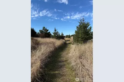 139 Xx Pacific Way, Long Beach, WA 98631 - Photo 5