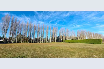 804 Cameron Road, Sequim, WA 98382 - Photo 9