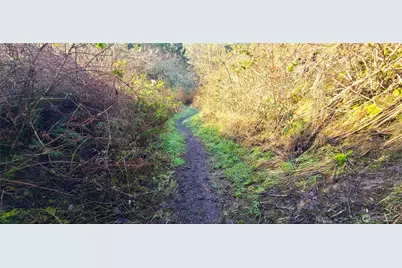 804 Cameron Road, Sequim, WA 98382 - Photo 19