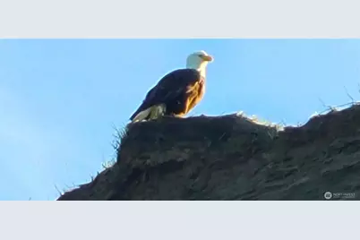 804 Cameron Road, Sequim, WA 98382 - Photo 23