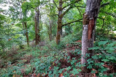 0 Lot C Melcher St, Port Orchard, WA 98366 - Photo 5