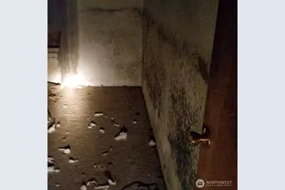 4557 33rd Avenue S, Seattle, WA 98118 - Photo 7