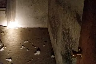 4557 33rd Ave S, Seattle, WA 98118 - Photo 7