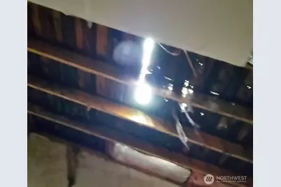 4557 33rd Avenue S, Seattle, WA 98118 - Photo 9