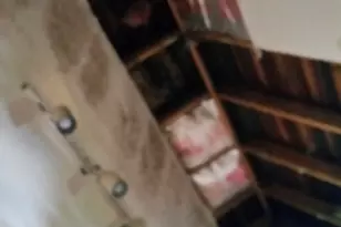 4557 33rd Ave S, Seattle, WA 98118 - Photo 11