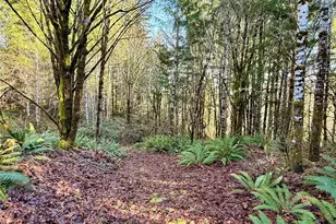 7035 Cedar Flats Rd SW, Olympia, WA 98512 - Photo 33