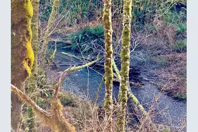 7035 Cedar Flats Road SW, Olympia, WA 98512 - Photo 35