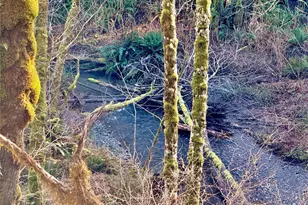 7035 Cedar Flats Rd SW, Olympia, WA 98512 - Photo 35