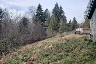 216 205th Ave E, Lake Tapps, WA 98391 - Photo 35