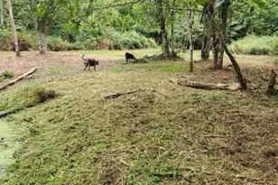 216 205th Ave E, Lake Tapps, WA 98391 - Photo 39