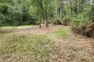 216 205th Ave E, Lake Tapps, WA 98391 - Photo 37