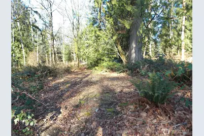 421 Young Road, Mossyrock, WA 98564 - Photo 31