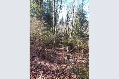 421 Young Road, Mossyrock, WA 98564 - Photo 11